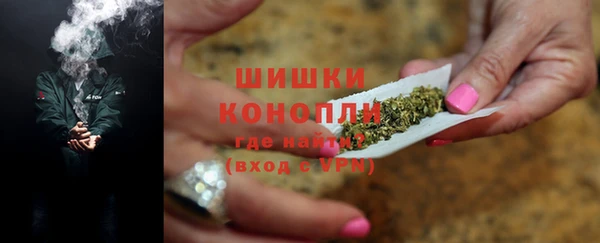 ГАЛЛЮЦИНОГЕННЫЕ ГРИБЫ Абаза