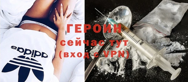 СК Алексин