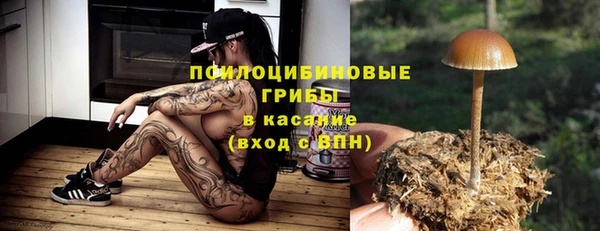 СК Алексин